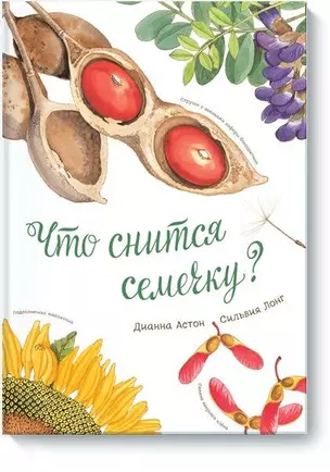 Что снится семечку? — 2464988 — 1