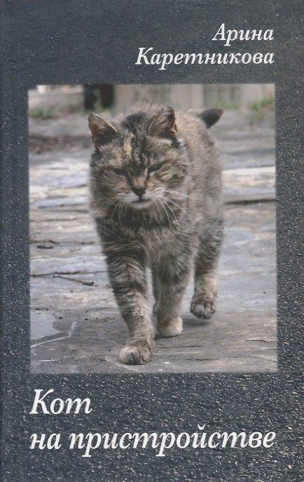 Книга Кот на пристройстве (А.А. Каретникова) — 1