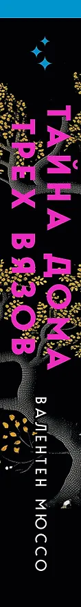 Книга Тайна Дома трех вязов (формат клатчбук) (Валентен Мюссо) — 3