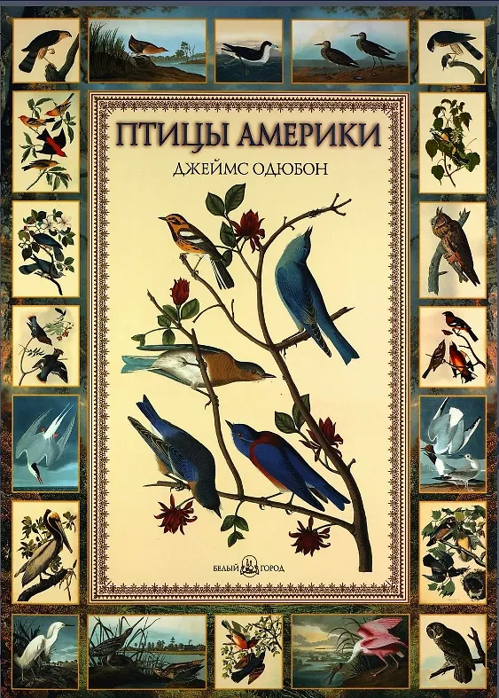 Книга Птицы Америки. Джеймс Одюбон (Евгений Коблик) — 1