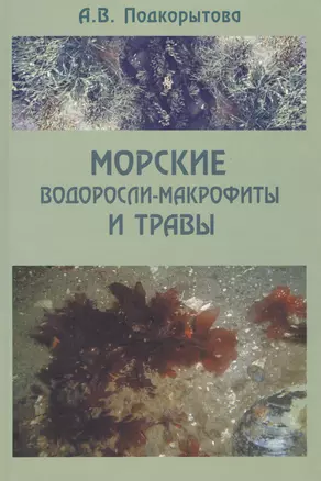 Морские водоросли-макрофиты и травы — 2565890 — 1