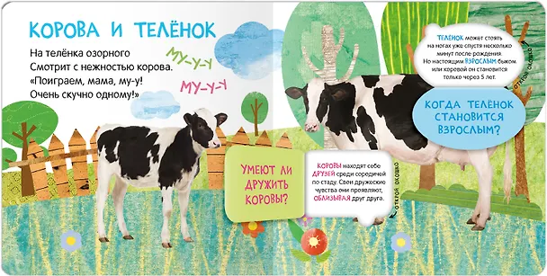 Книга Книжки с окошками. Мамы и малыши () — 3