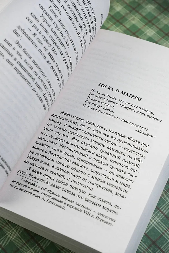 Книга Похвала тени (Дзюнъитиро Танидзаки) — 8
