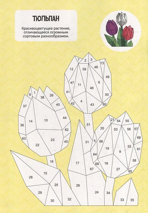 Книга Раскрась по номерам. Цветы () — 3