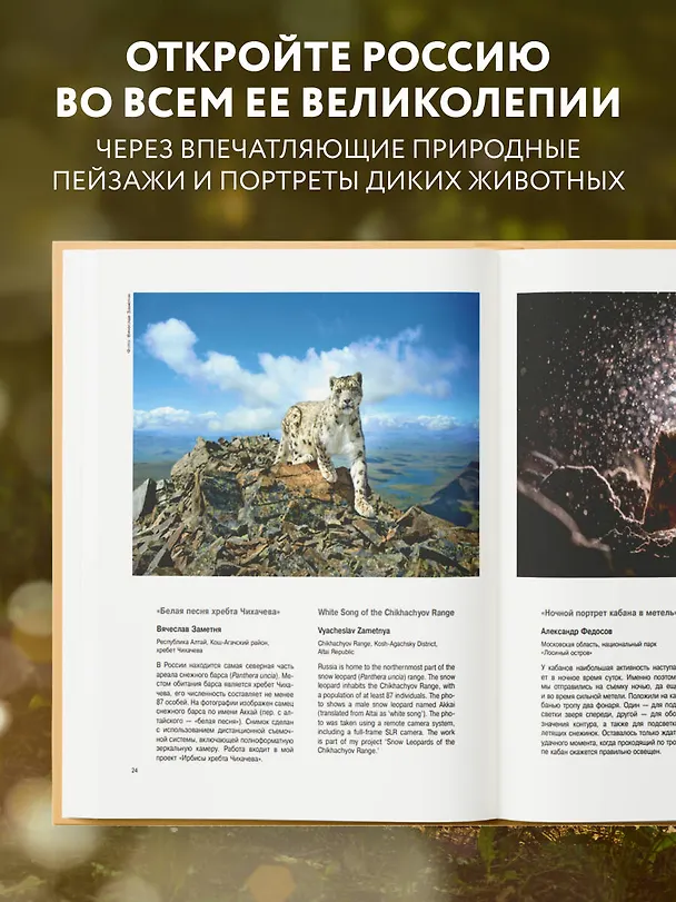 Книга Россия самая красивая страна. Фотоконкурс 2025 () — 7