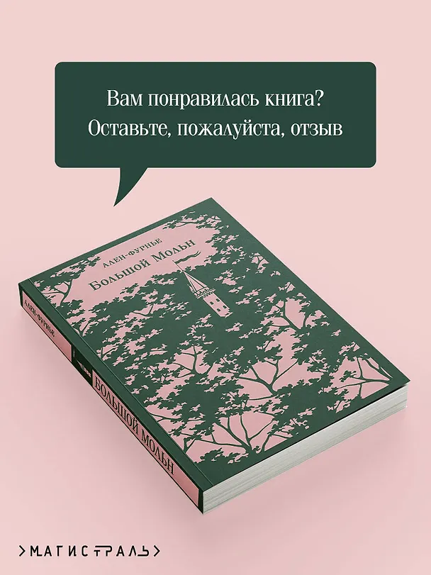 Книга Большой Мольн (Анри Ален-Фурнье) — 11