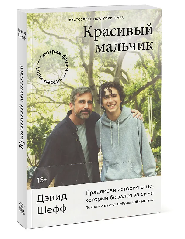 Книга Красивый мальчик. Правдивая история отца, который боролся за сына (Дэвид Шефф) — 4