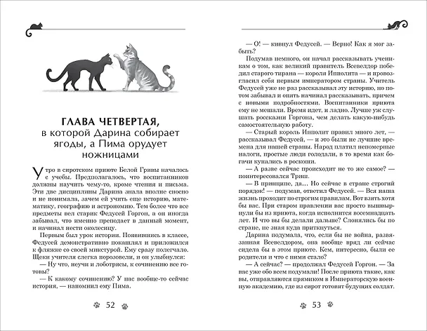 Книга Дарина - разрушительница заклятий. Тайна кошачьего братства (Евгений Гаглоев) — 2