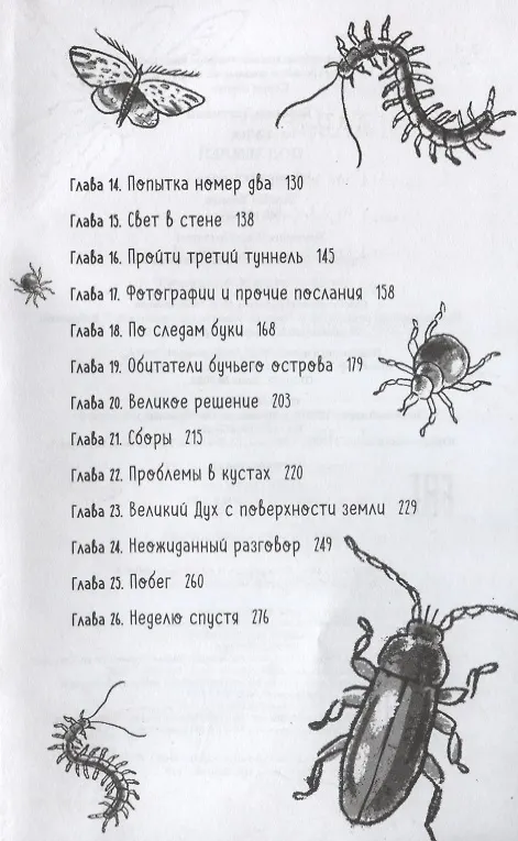 Книга Бука. Под землей (Туутикки Толонен) — 3
