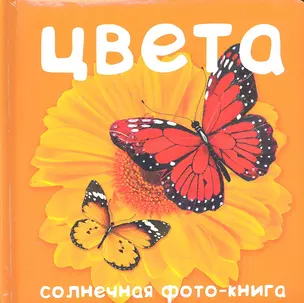 Цвета — 2301755 — 1