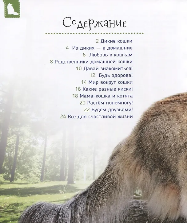 Книга Кошки и котята (Первая энциклопедия) (Светлана Гальцева) — 2