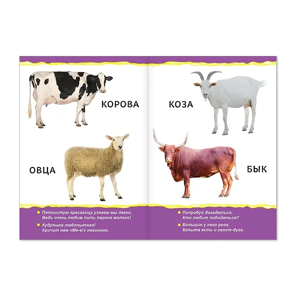 Книга Домашние животные для малышей () — 2