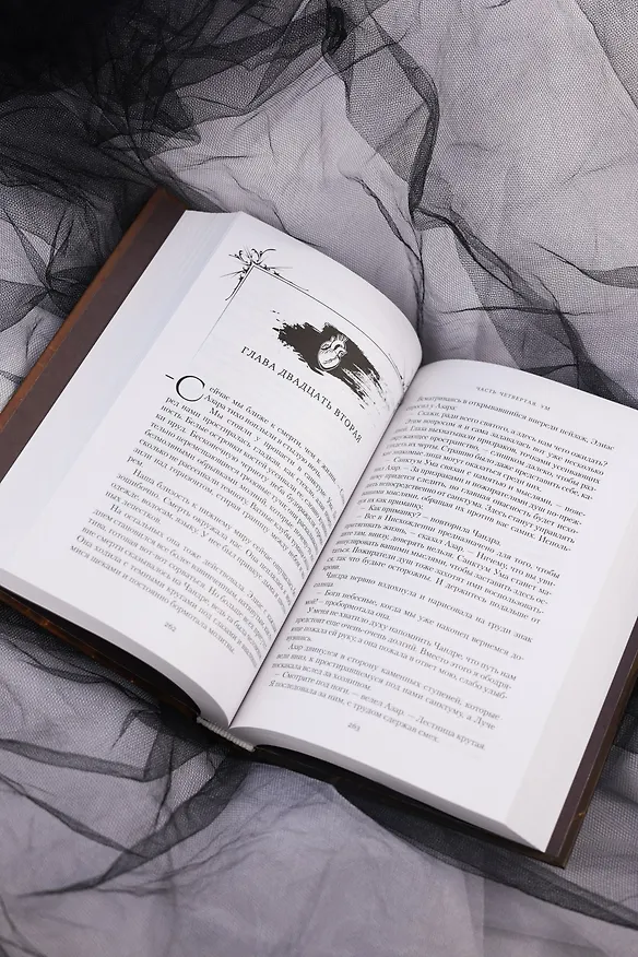 Книга Короны Ниаксии. Певчая птица и каменное сердце. Книга первая из дилогии о тенерожденных (Карисса Бродбент) — 17