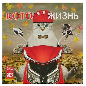 Календарь 2024г 300*300 "Котожизнь" настенный, на скрепке 3000871