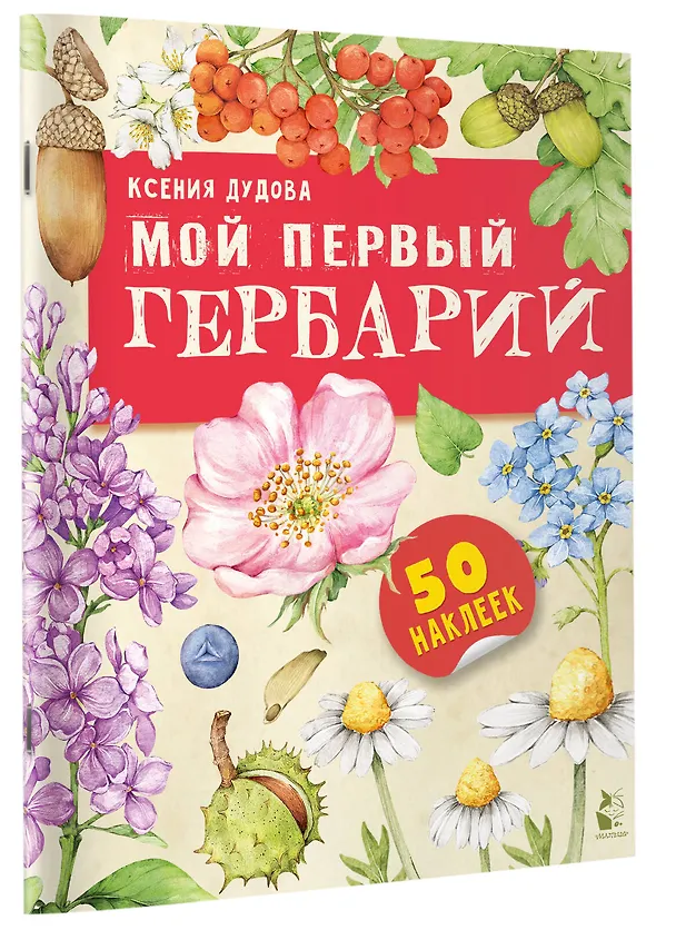 Книга Мой первый гербарий (Ксения Дудова) — 4