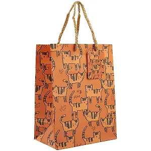 Подарочный пакет, «Hey tiger», A5