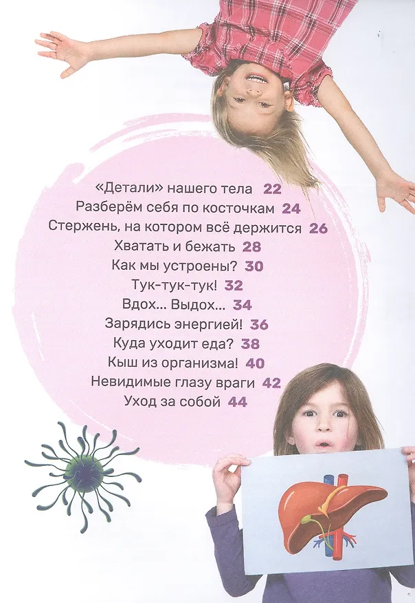 Книга Тело человека (Лариса Попова) — 3