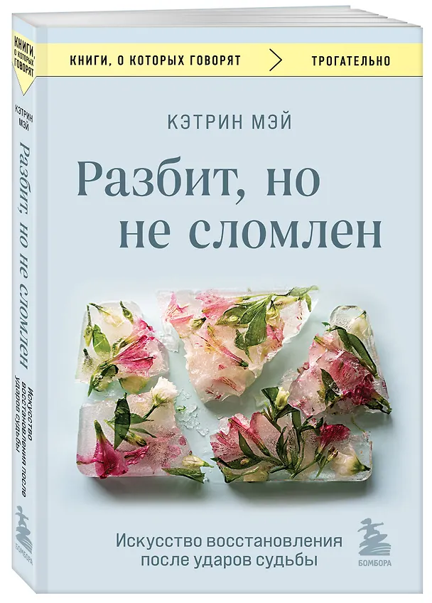 Книга Разбит, но не сломлен. Искусство восстановления после ударов судьбы (Кэтрин Мэй) — 4