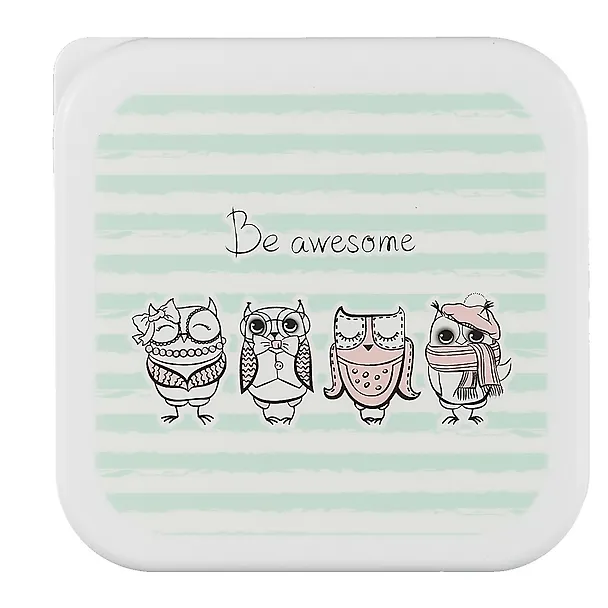 Ланч-бокс Совы Be awesome (пластик) (11,5х11,5) (12-rongtai-15004) 2678540 — 2