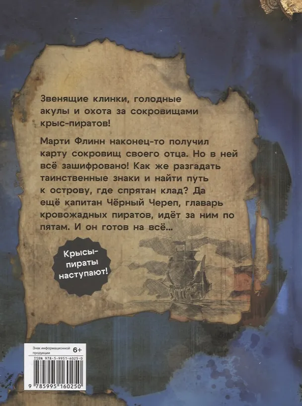 Книга ДХЛ. Крысы-пираты. Тайна карты сокровищ (Михаэль Пайнкофер) — 3
