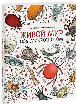 Книга Живой мир под микроскопом (Элен Ражкак, Дамьен Лавердан)