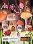 Читательский дневник. Сказочные домики. Грибной город (с анкетой) — 2930391 — 2