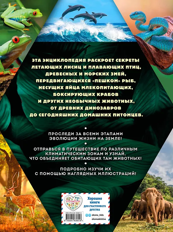 Книга Тайны животных. Самая невероятная энциклопедия (Снежана Ивинская, Дмитрий Лукашанец, Оксана Мазур) — 2