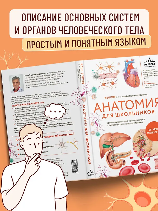 Книга Анатомия для школьников. Пособие для учеников химико-биологических классов и абитуриентов естественно-научных направлений (Илья Егоров) — 9