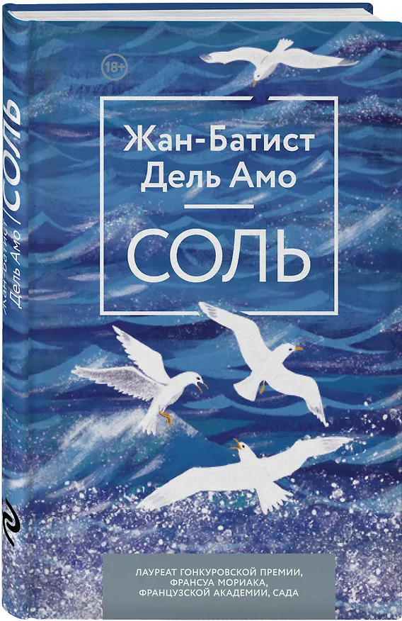 Книга Соль (Жан-Батист Дель Амо) — 4
