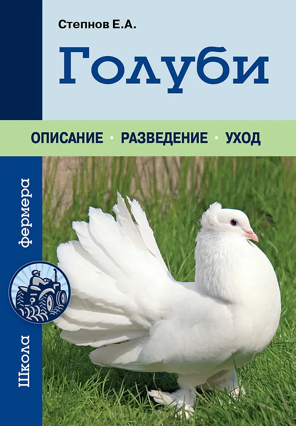 Книга Голуби (Евгений Степнов) — 1