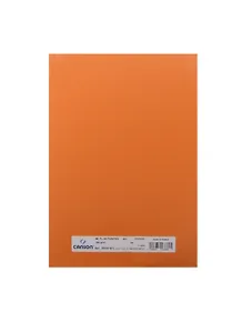 Бумага для пастели А4 "Mi-Teintes" 160г/м2 №453 оранж., Canson