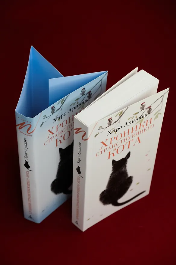 Книга Хроники странствующего кота (Хиро Арикава) — 13