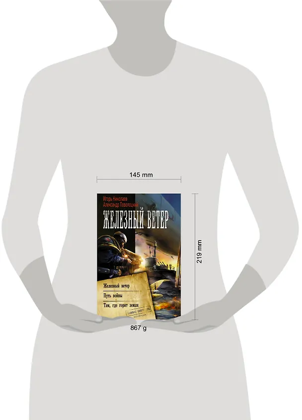 Книга Железный ветер (Александр Поволоцкий, Игорь Николаев) — 4