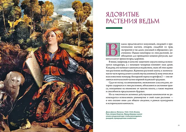 Книга Магия трав и волшебный бестиарий. Сборный комплект из 2-х книг с шоппером (Ипполита Дуглас Скотти ди Виголено, Сабрина Тонутти, Роберто Маркезини) — 23