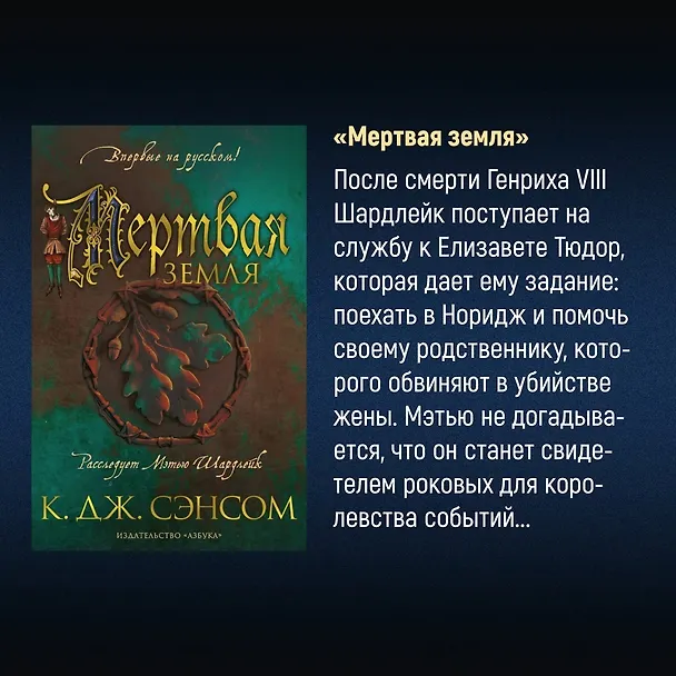 Книга Горбун лорда Кромвеля (Кристофер Сэнсом) — 13