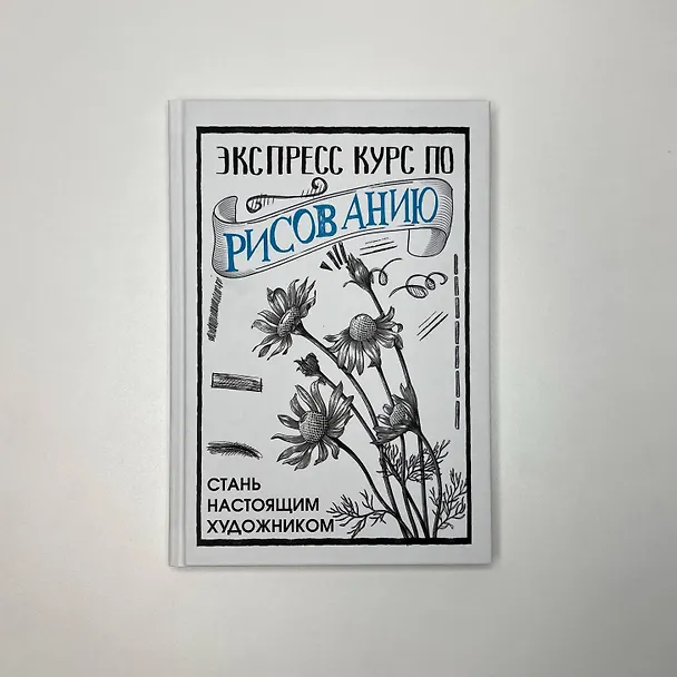 Книга Экспресс курс по рисованию. Стань настоящим художником (Мистер Грей) — 4