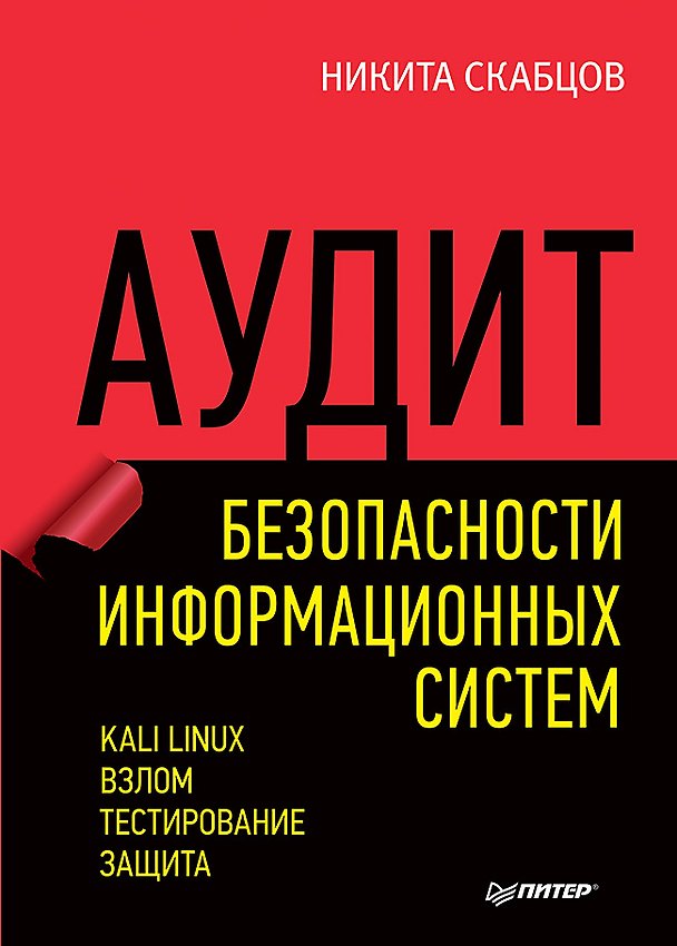 Книга Аудит безопасности информационных систем (Никита Скабцов) — 1