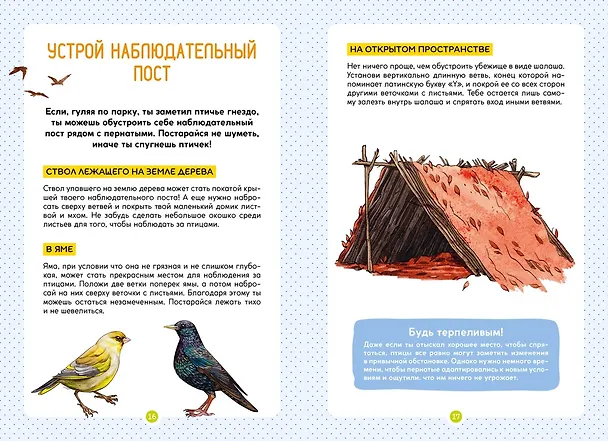 Книга Птицы (Мишель Люшези) — 9