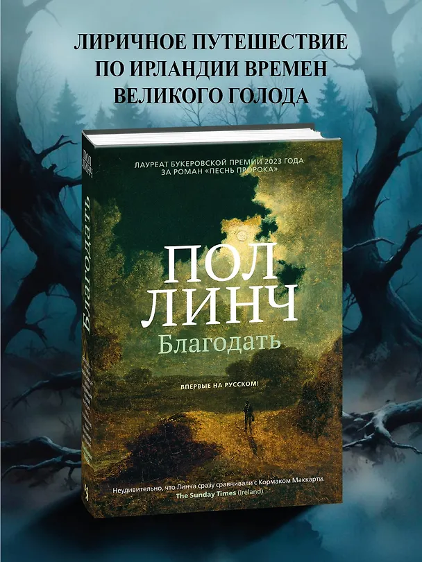 Книга Благодать (Пол Линч) — 5