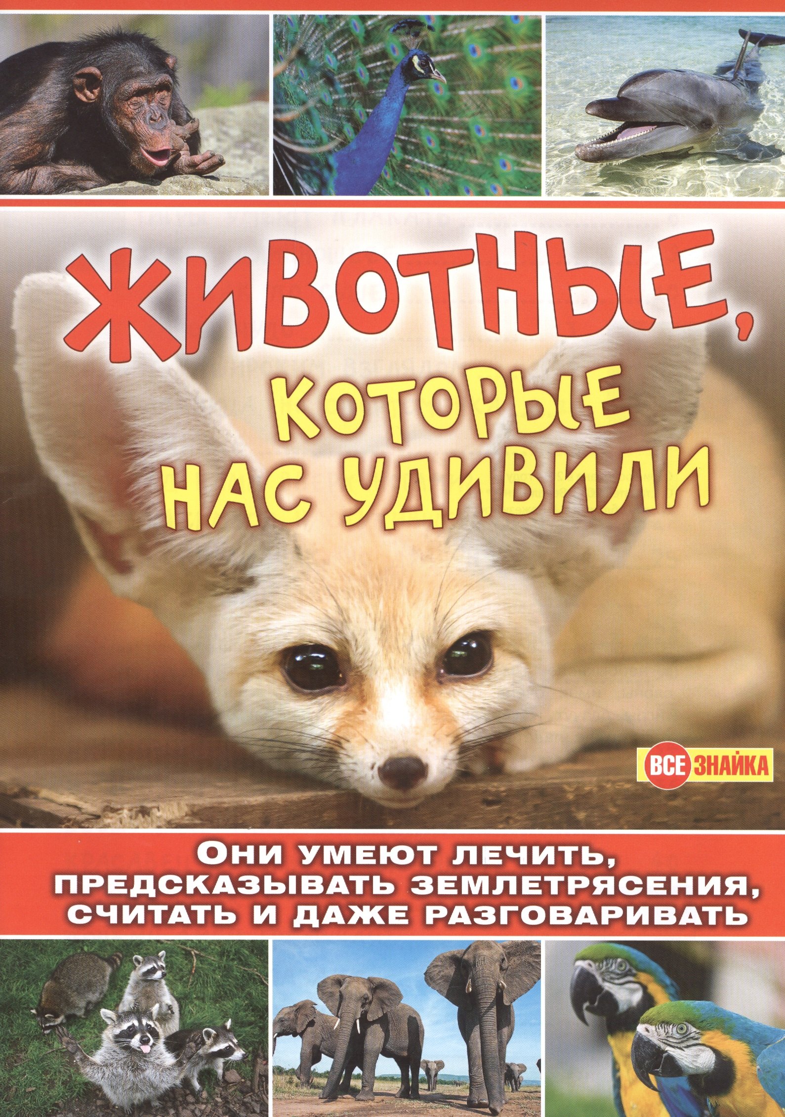 

Животные,которые нас удивили