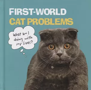 First World Cat Problems: What Am I Doing with My Lives? — 2747212 — 1