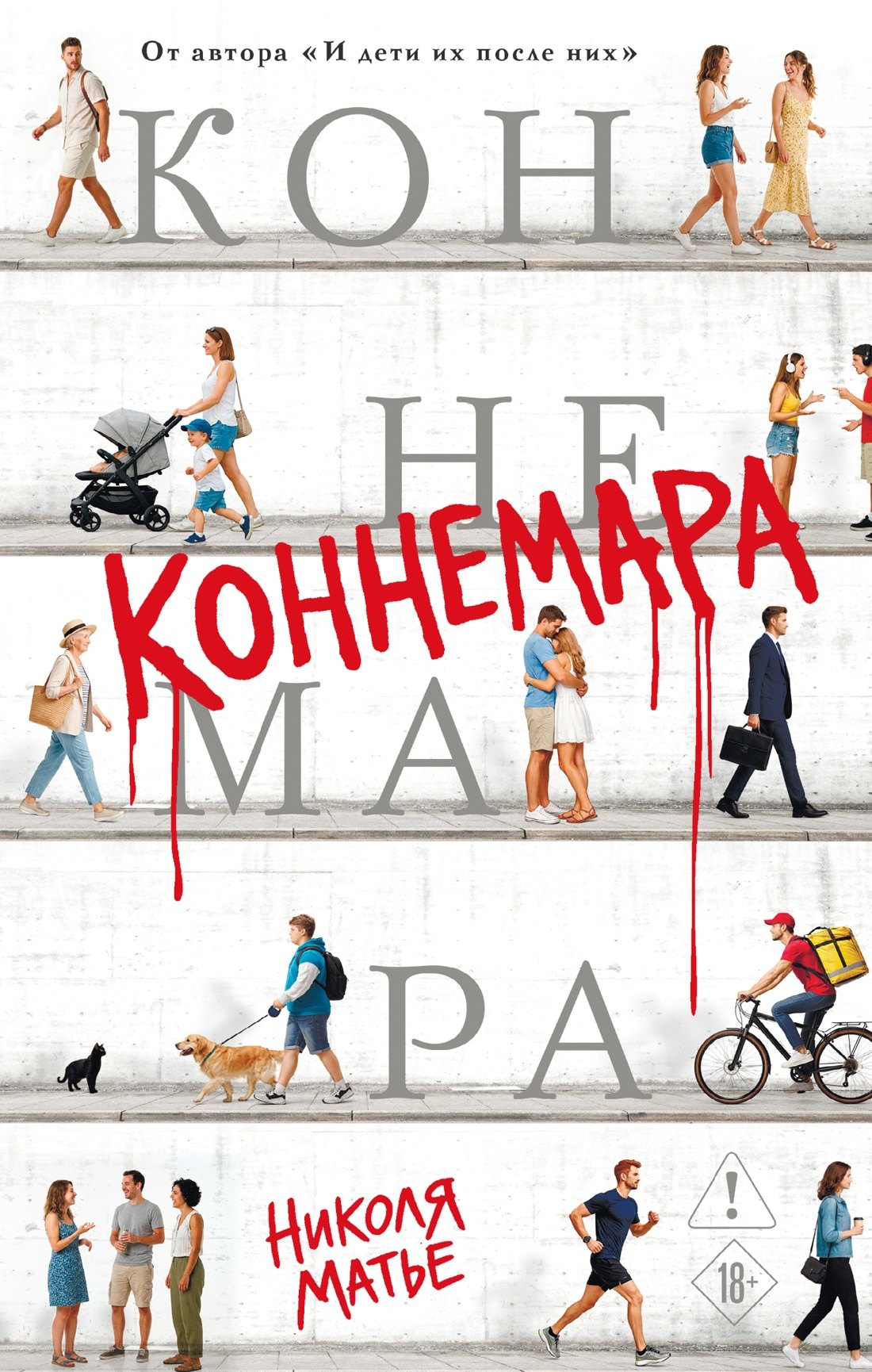 Николя Матье Коннемара