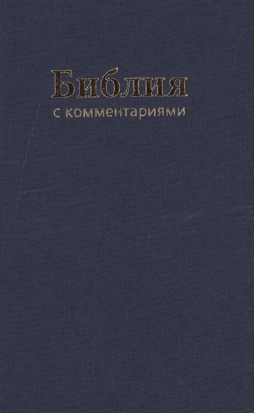 Библия (1179)043DC TI с коммен.(син.)