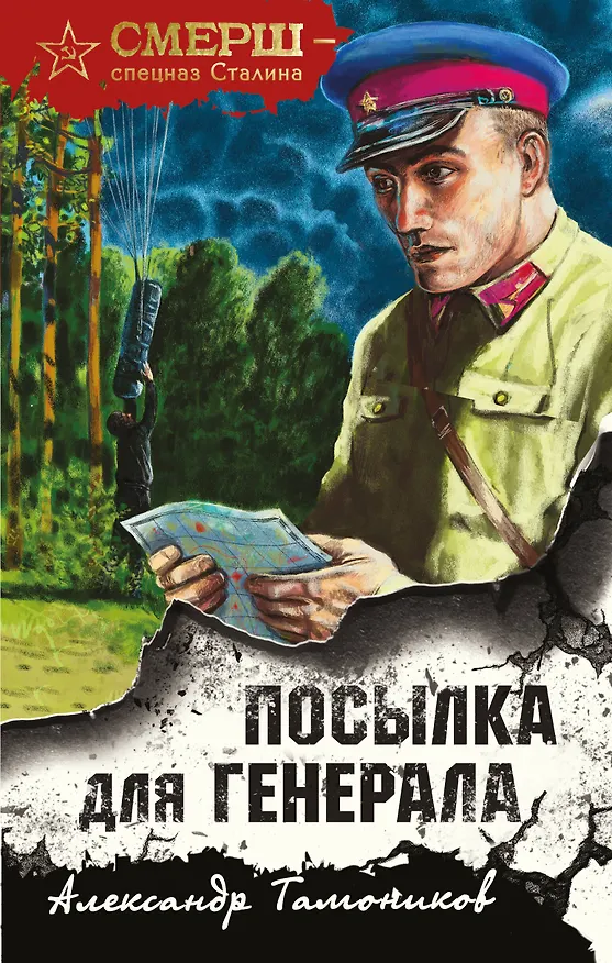 Книга Посылка для генерала (Александр Тамоников) — 1