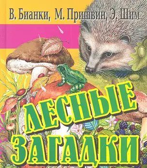 Лесные загадки — 2304572 — 1