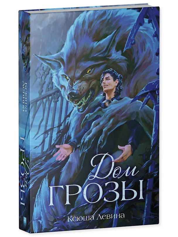 Книга Дом грозы (Ксюша Левина) — 3