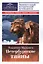 Петербургские тайны. Занимательный исторический путеводитель — 2579324 — 1