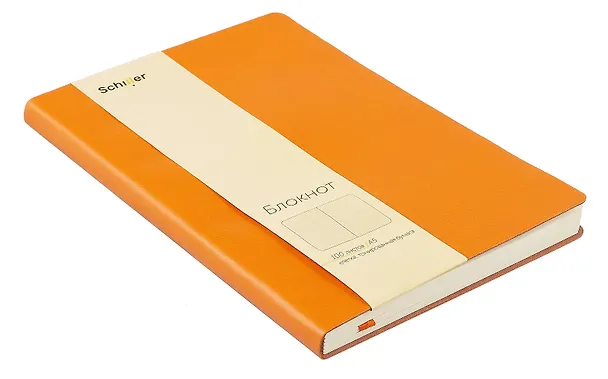 Книга для записей А5, 100 листов в клетку, оранжевая, Schiller 3031820 — 9