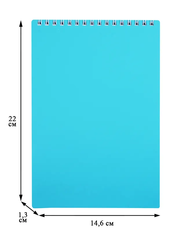 Блокнот А5 80л кл. "NEWtone PASTEL Незабудка" офсет 80г/м2, пласт.обл., гребень 257666 — 2
