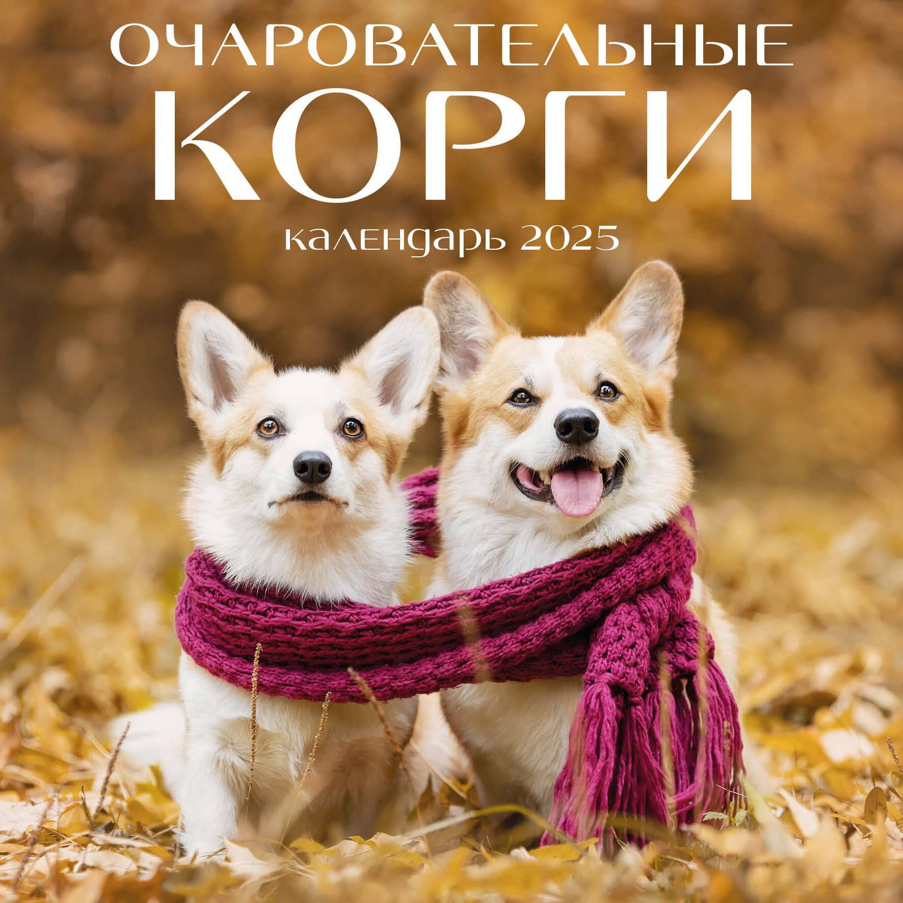 

Календарь 2025г 300*300 "Корги" настенный, на скрепке